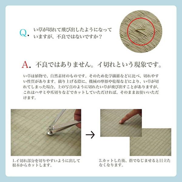 い草ラグ 花ござ カーペット 格子柄 ナチュラル シンプル 和室 抗菌防臭 消臭 お手入れ簡単 夏快適さらさら 団地間6畳(約255×340cm) レイクブルー代引NG