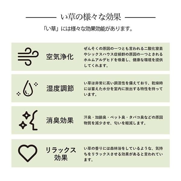 い草ラグ 花ござ カーペット 格子柄 ナチュラル シンプル 和室 洋室 裏不織布滑り止め 滑りにくい 抗菌防臭 消臭 江戸間3畳(約174×261cm) レイクブルー代引NG