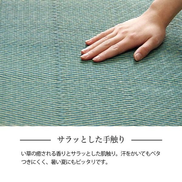 い草ラグ 花ござ カーペット 格子柄 ナチュラル シンプル 和室 洋室 裏不織布滑り止め 滑りにくい 抗菌防臭 消臭 江戸間8畳(約348×352cm) レイクブルー代引NG