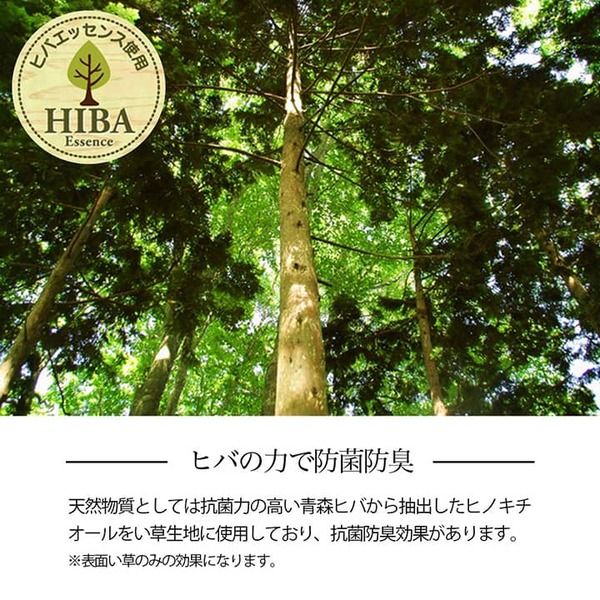 い草ラグ 花ござ カーペット 格子柄 ナチュラル シンプル 和室 洋室 裏不織布滑り止め 滑りにくい 抗菌防臭 消臭 団地間4.5畳(約255×255cm) レイクブルー代引NG