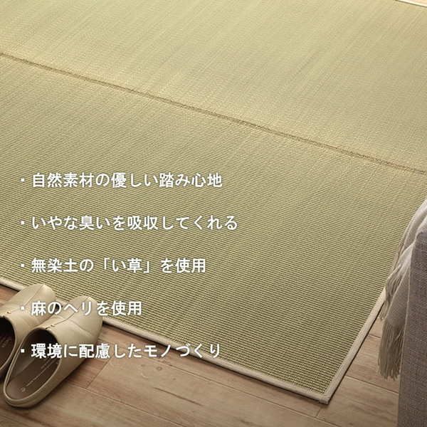 サスティナブル irucico いるしこ みらい 自然素材 国産 日本製 い草 無垢 敷き物 ラグ カーペット マット パーソナル 消臭 蒸れにくい ナチュラル 約70×140cm代引NG