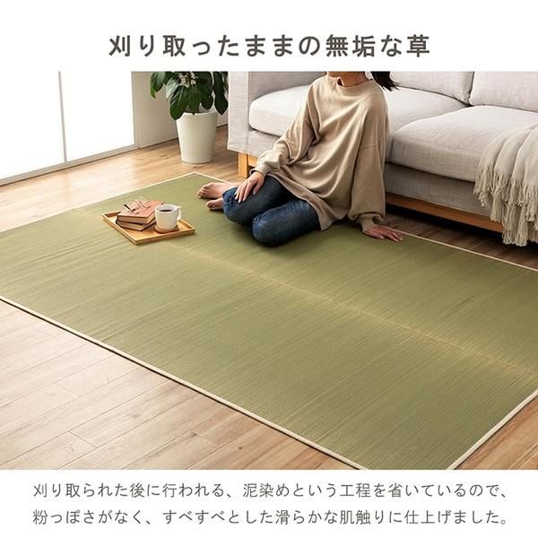 サスティナブル irucico いるしこ みらい 自然素材 国産 日本製 い草 無垢 敷き物 ラグ カーペット マット パーソナル 消臭 蒸れにくい ナチュラル 約70×140cm代引NG