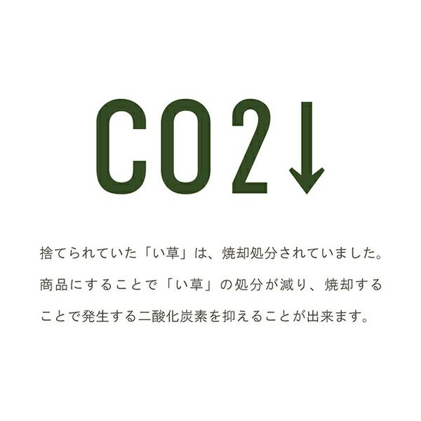 サスティナブル irucico いるしこ みらい 自然素材 国産 日本製 い草 無垢 敷き物 ラグ カーペット マット 消臭 蒸れにくい ナチュラル 約140×140cm代引NG