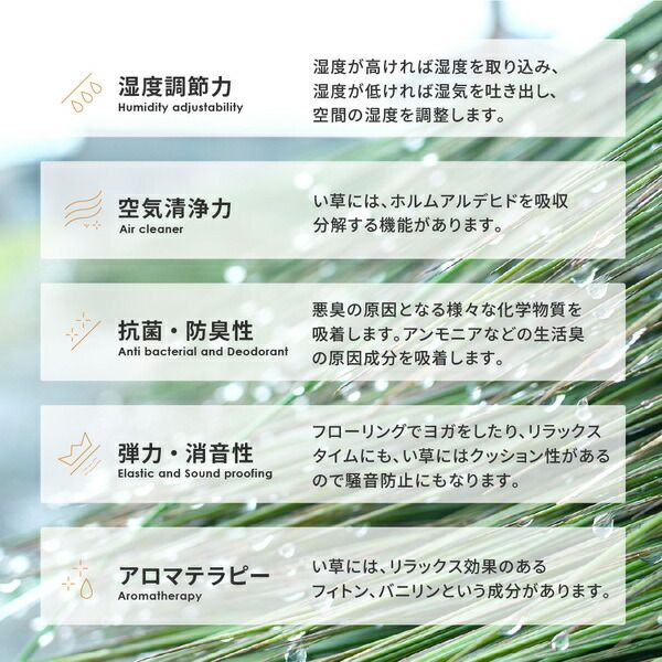 い草ラグ(裏貼り) コンチェルト ブルー 約191×191cm代引NG