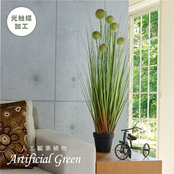 スーパSALE10倍＆4時間限定10％OFF 人工観葉植物/インテリアグリーン ボールグラス L 約153cm【代引NG】