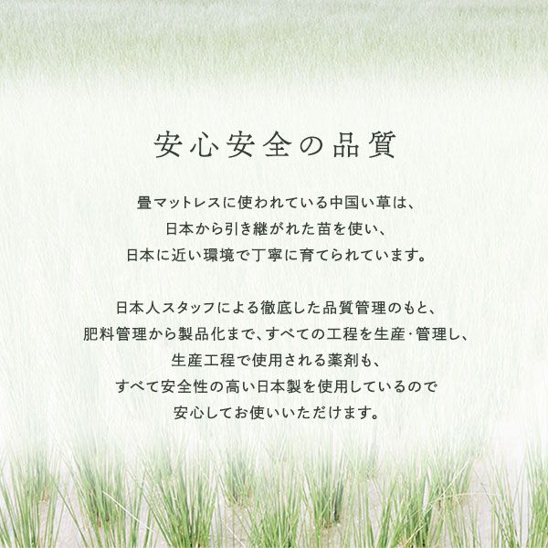 い草香る折り畳みマットレス 4つ折り 双目織 緑 シングル 約100×200×1.1cm代引NG