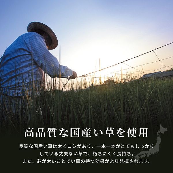 国産い草 ラグマット(裏貼り)/絨毯 約191×191cm ベージュ 日本製 縁：綿100％ 『右京 うきょう』 〔リビング ダイニング〕代引NG