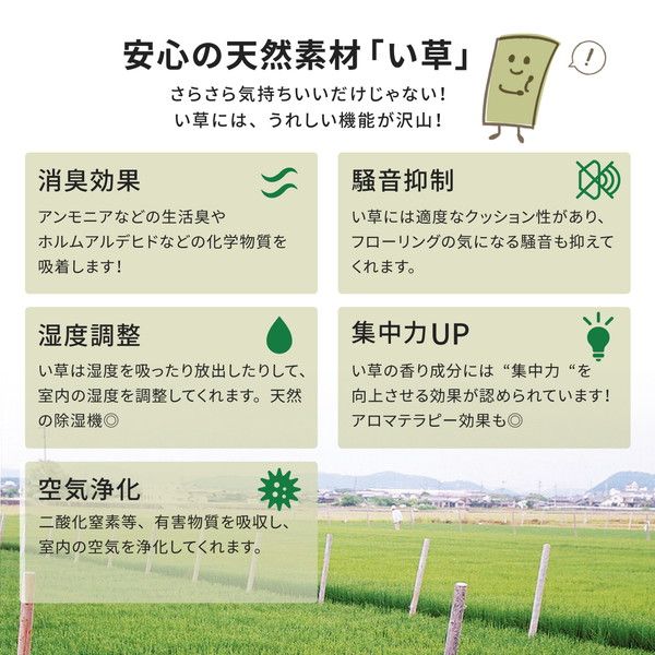国産い草 ラグマット(裏貼り)/絨毯 約191×250cm ベージュ 日本製 縁：綿100％ 『右京 うきょう』 〔リビング ダイニング〕代引NG