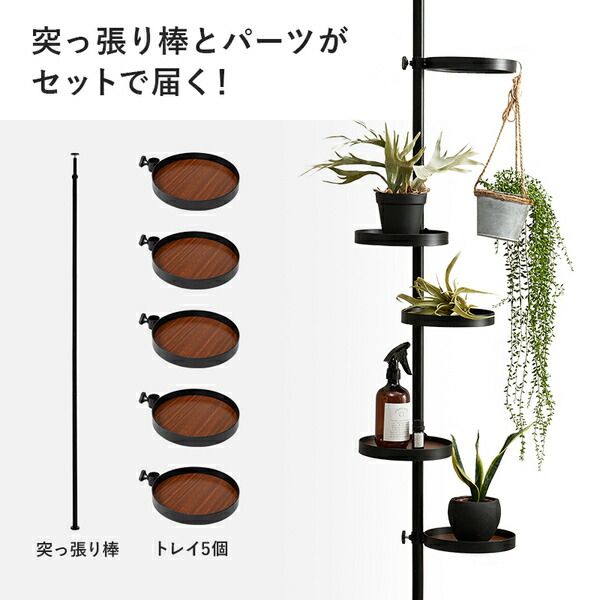 スーパSALE10倍＆4時間限定10％OFF 突っ張りラック 丸型 6点セット（突っ張り棒・トレイ×5個） ブラウン×ブラック 組立品【代引NG】