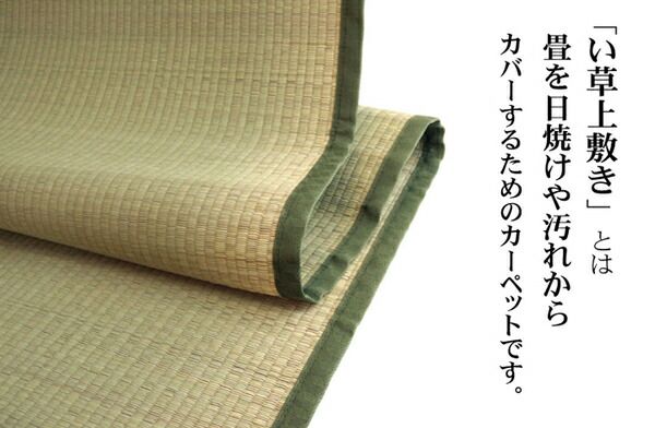 日本製 い草 上敷き/ラグマット 双目織 江戸間8畳 約352×352cm 抗菌 防臭 調湿機能付き 草津 〔リビング〕代引NG