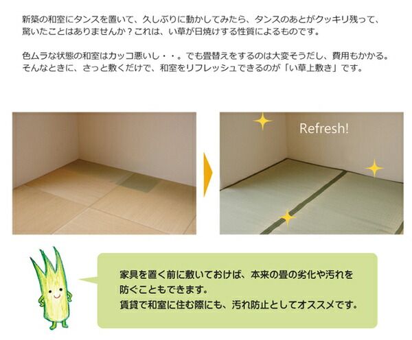 日本製 い草 上敷き/ラグマット 双目織 江戸間8畳 約352×352cm 抗菌 防臭 調湿機能付き 草津 〔リビング〕代引NG