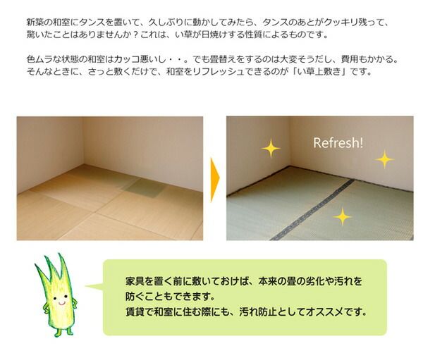 日本製 い草 上敷き/ラグマット 糸引織 江戸間2畳 約176×176cm 抗菌 防臭 調湿機能付き 湯沢 〔リビング〕代引NG