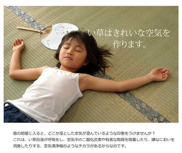 日本製 い草 上敷き/ラグマット 糸引織 三六間8畳 約364×364cm 抗菌 防臭 調湿機能付き 湯沢 〔リビング〕代引NG