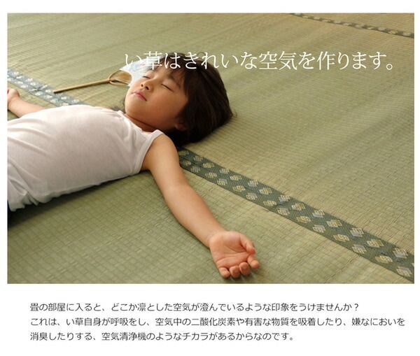 日本製 い草 上敷き/ラグマット 双目織 江戸間3畳 約176×261cm 抗菌 防臭 調湿機能付き 〔リビング 和室〕代引NG