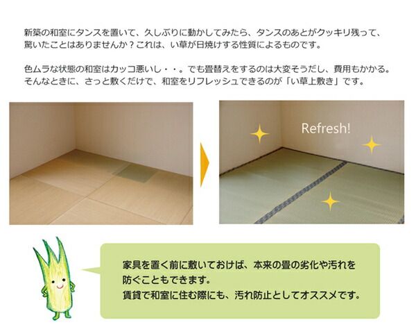 日本製 い草 上敷き/ラグマット 糸引織 江戸間2畳 約176×176cm 抗菌 防臭 調湿機能付き 柿田川 〔リビング〕代引NG