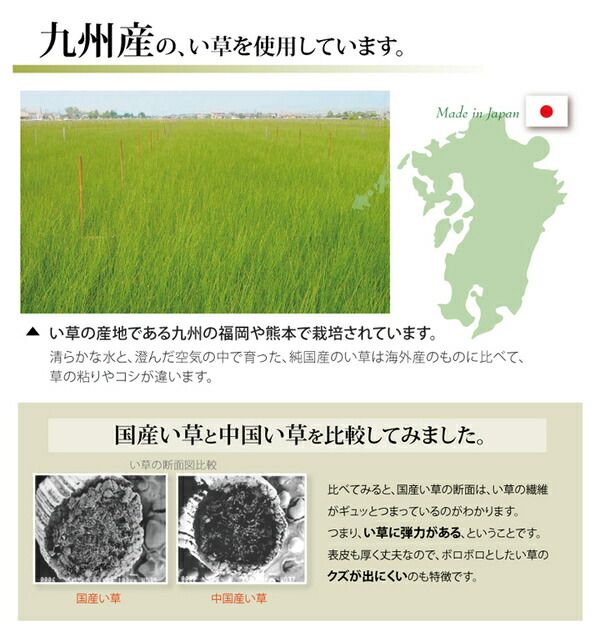 日本製 い草 上敷き/ラグマット 双目織 三六間4.5畳 約273×273cm 抗菌 防臭 調湿機能付き ほほえみ 〔リビング〕代引NG