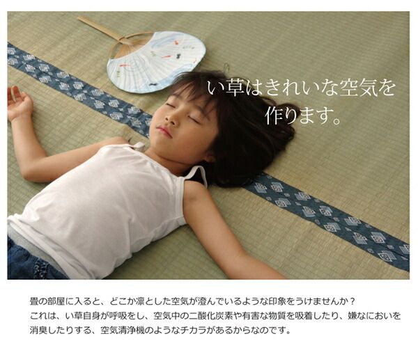 日本製 い草 上敷き/ラグマット 双目織 三六間8畳 約364×364cm 抗菌 防臭 調湿機能付き ほほえみ 〔リビング〕代引NG