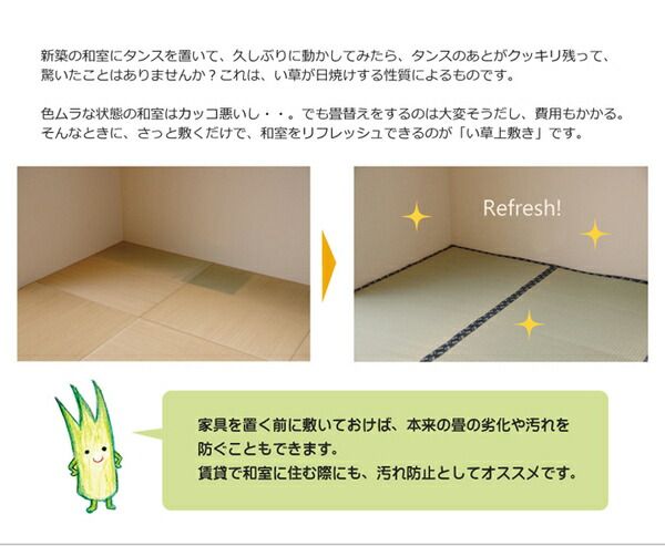 日本製 い草 上敷き/ラグマット 糸引織 六一間4.5畳 約277×277cm 抗菌 防臭 調湿機能付き 梅花 〔リビング〕代引NG
