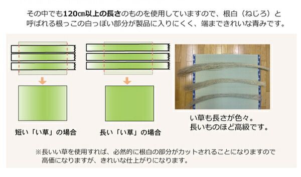 日本製 い草 上敷き/ラグマット 糸引織 六一間4.5畳 約277×277cm 抗菌 防臭 調湿機能付き 梅花 〔リビング〕代引NG