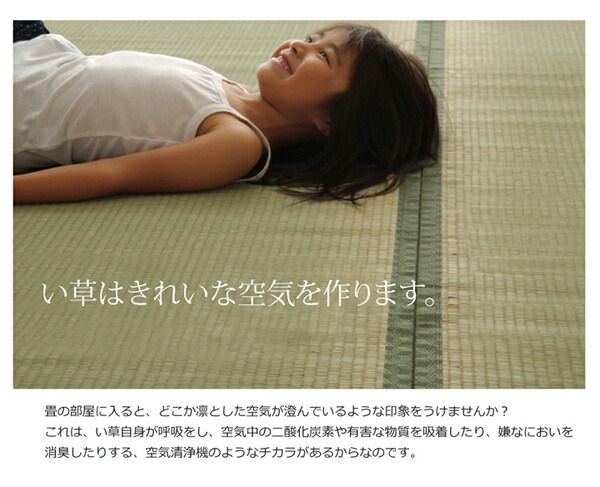 日本製 い草 上敷き/ラグマット 双目織 本間2畳 約191×191cm 抗菌 防臭 調湿機能付き 草津 〔リビング〕代引NG