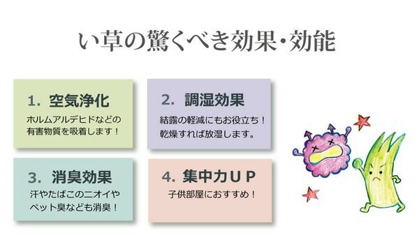 日本製 い草 上敷き/ラグマット 双目織 六一間6畳 約277×368cm 抗菌 防臭 調湿機能付き 〔リビング 和室〕代引NG