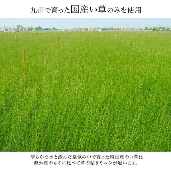 い草 花ござ ラグマット/絨毯 ベージュ 江戸間8畳 約348×352cm 日本製 抗菌 防臭 消臭 調湿 モダン 耐久性 〔リビング〕代引NG