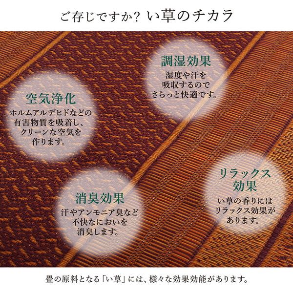 い草 廊下カーペット/ラグマット ワイン 約80×240cm 日本製 抗菌 防臭 調湿 防傷 裏：不織布 〔玄関 入口 リビング〕代引NG