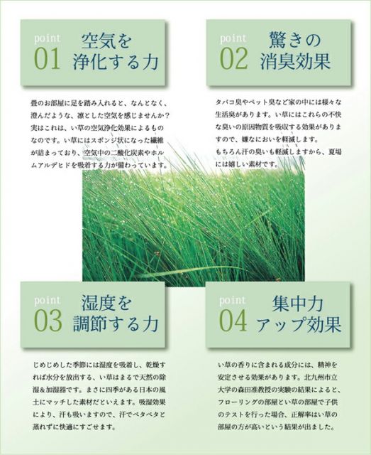 い草 花ござ/ラグマット 花柄ヘリ ブルー 江戸間8畳 約348×352cm 日本製 抗菌 防臭 調湿機能 消臭 耐久性 〔リビング〕代引NG