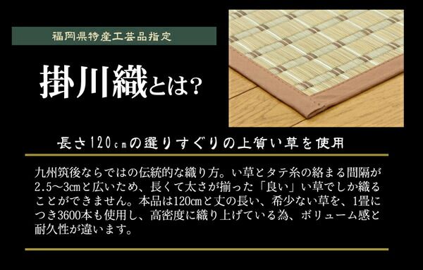 掛川織 い草 ラグマット/絨毯 ベージュ 江戸間2畳 約174×174cm 抗菌 防臭 調湿効果 消臭 クッション性 〔リビング〕代引NG