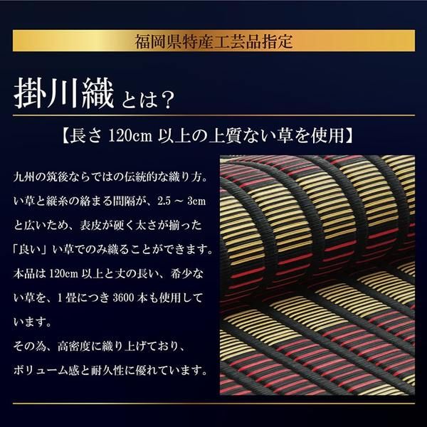 掛川織 い草 花ござ/ラグマット モダン ブラック 江戸間4.5畳 約261×261cm 抗菌 防臭 日本製 福岡県品評会最優秀賞代引NG