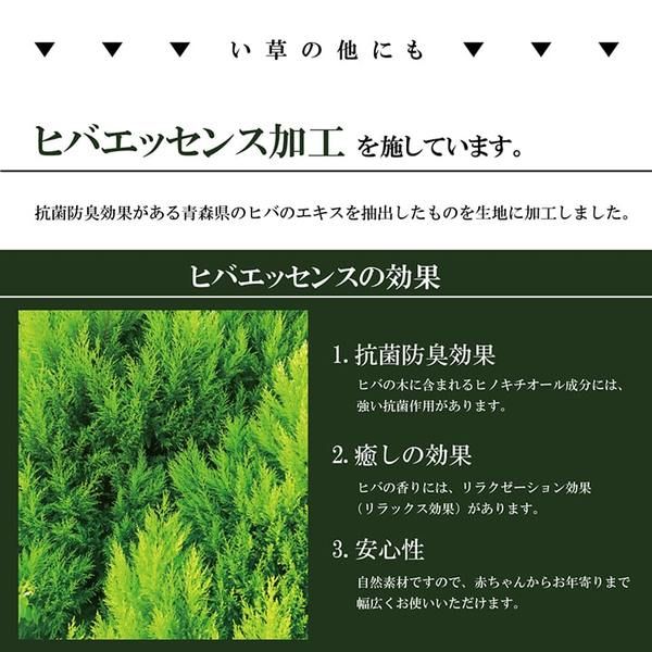 掛川織 い草 花ござ/ラグマット モダン ブラック 江戸間4.5畳 約261×261cm 抗菌 防臭 日本製 福岡県品評会最優秀賞代引NG