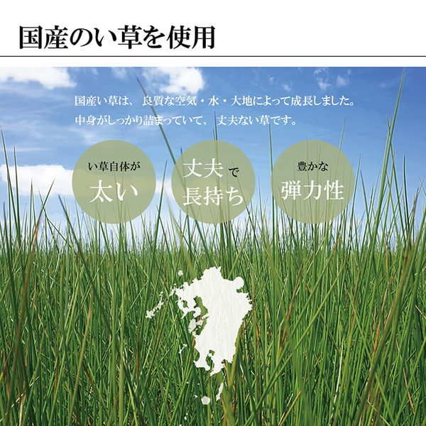 掛川織 い草 花ござ/ラグマット モダン ブラック 江戸間6畳 約261×352cm 抗菌 防臭 日本製 福岡県品評会最優秀賞代引NG