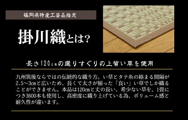 モダン い草 ラグマット/絨毯 本間4.5畳 約286×286cm 正方形 日本製 抗菌 防臭 調湿 消臭 掛川織 〔リビング〕代引NG