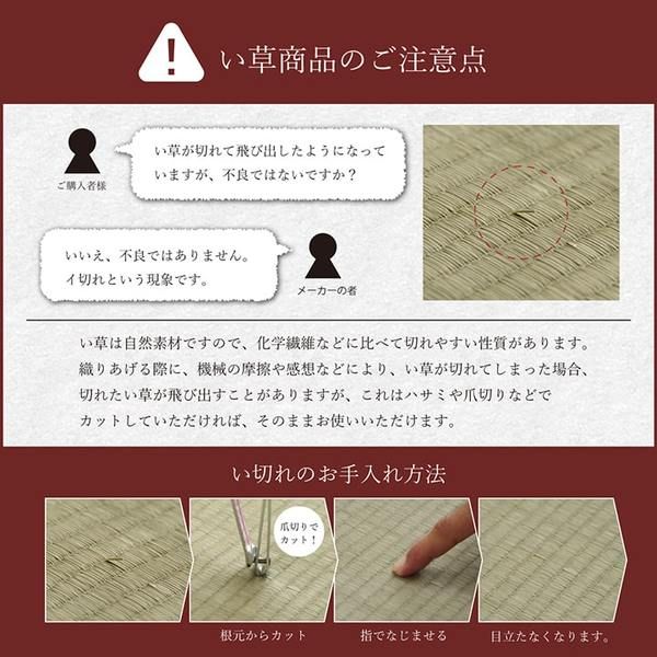 い草 い草マット 国産 ごろ寝マット くつろぎ 折畳み可 ブルー 約90×200cm代引NG