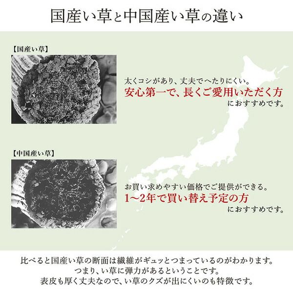 モダン い草 ラグマット/絨毯 ワイン 約191×250cm 日本製 抗菌 防臭 自然素材 モダン 調湿 空気清浄効果代引NG