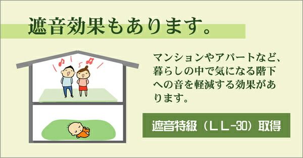 日本製 い草 ユニット畳/置き畳 【82×82×2.3cm 9枚 ナチュラル5枚 ブラック4枚】 中材：低反発ウレタン＋フェルト 遮音 対騒音【代引NG】