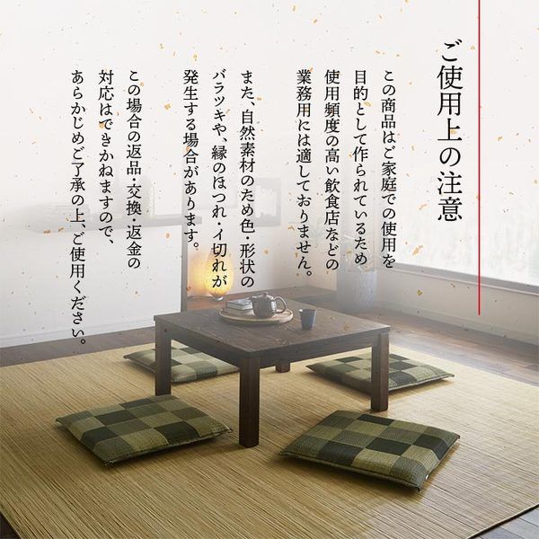 い草 座布団 織込千鳥 2枚組 ブラウン 約55×55cm×2P 抗菌 防臭 調湿 日本製 ブロック 〔リビング 来客 和室〕代引NG