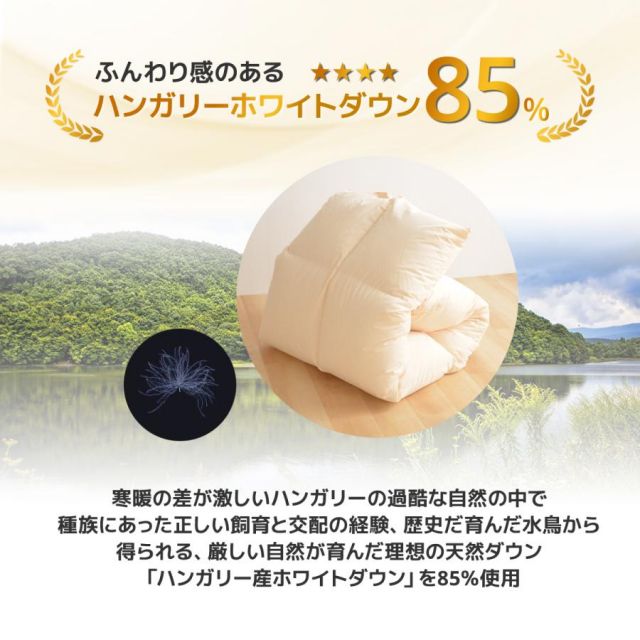 日本製 羽毛布団 掛け布団 羽毛ふとん ダブルロングサイズ ハンガリー産ホワイトダックダウン85% MI