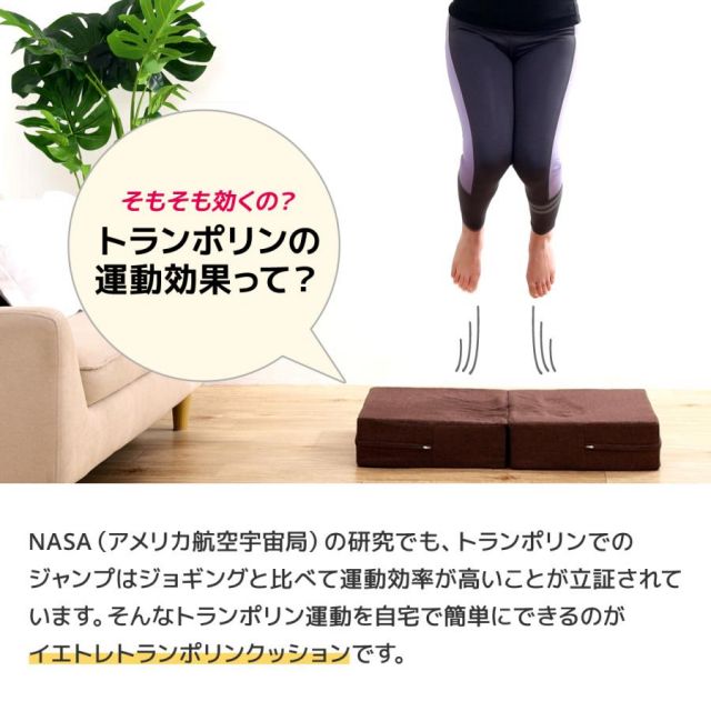 公式 イエトレクッション トランポリンクッション Wステッパー2通り楽しめるトランポリンクッション MI