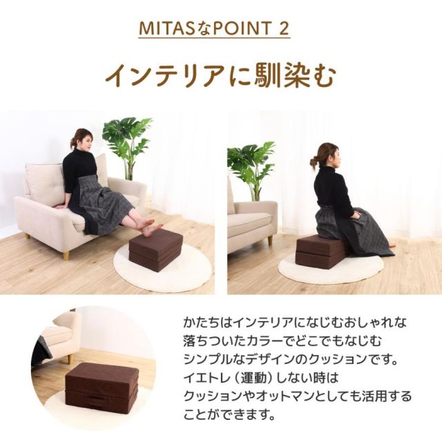 公式 イエトレクッション トランポリンクッション Wステッパー2通り楽しめるトランポリンクッション MI