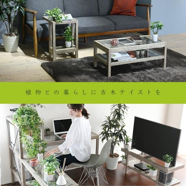 ボタニカル 花台 鉢置き台 ラック 3段 フラワースタンド 古材 ガラス シャビ― 観葉植物 インテリア 幅60 奥行30 高さ100 オープンシェルフ 木製 飾り棚