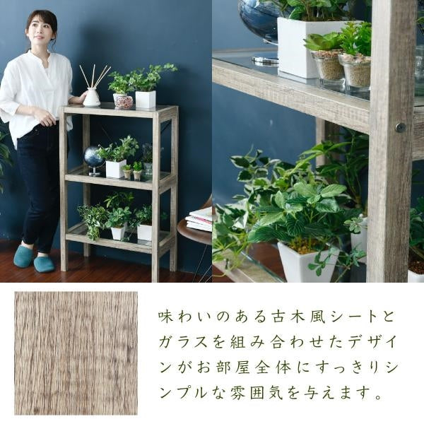 ボタニカル 花台 鉢置き台 ラック 3段 フラワースタンド 古材 ガラス シャビ― 観葉植物 インテリア 幅60 奥行30 高さ100 オープンシェルフ 木製 飾り棚
