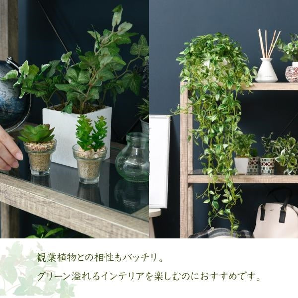 ボタニカル 花台 鉢置き台 ラック 3段 フラワースタンド 古材 ガラス シャビ― 観葉植物 インテリア 幅60 奥行30 高さ100 オープンシェルフ 木製 飾り棚