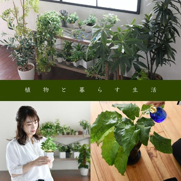 ボタニカル 花台 鉢置き台 ラック 3段 フラワースタンド 古材 ガラス シャビ― 観葉植物 インテリア 幅60 奥行30 高さ100 オープンシェルフ 木製 飾り棚