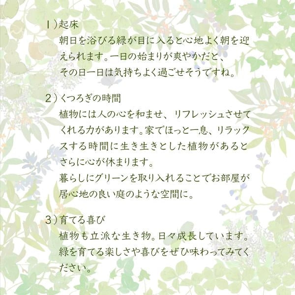 ボタニカル 花台 鉢置き台 ラック 3段 フラワースタンド 古材 ガラス シャビ― 観葉植物 インテリア 幅60 奥行30 高さ100 オープンシェルフ 木製 飾り棚