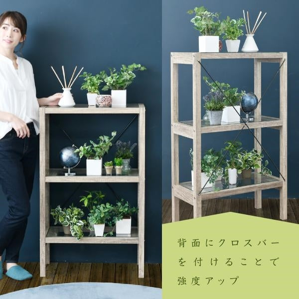 ボタニカル 花台 鉢置き台 ラック 3段 フラワースタンド 古材 ガラス シャビ― 観葉植物 インテリア 幅60 奥行30 高さ100 オープンシェルフ 木製 飾り棚