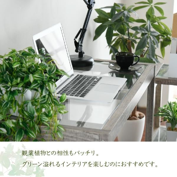 グリーンインテリア デスク 幅90 ガラス 古材 古木 インテリア 奥行45 グリーン 観葉植物 シャビー 植物 棚 ラック おしゃれ 木製 机 pc リビング
