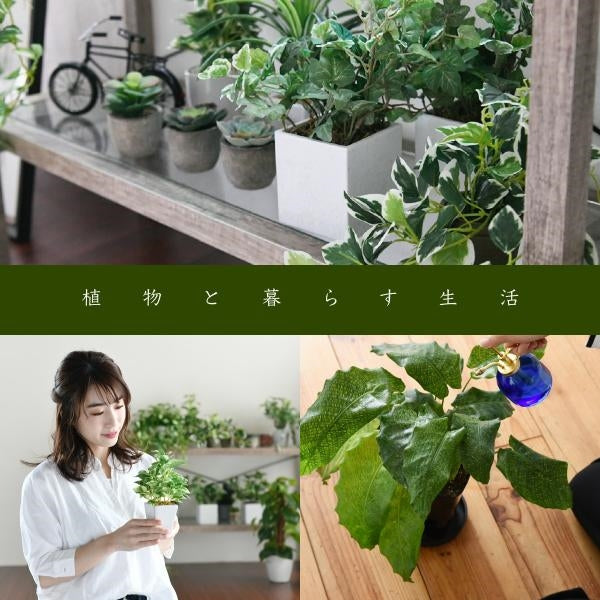 グリーンインテリア デスク 幅90 ガラス 古材 古木 インテリア 奥行45 グリーン 観葉植物 シャビー 植物 棚 ラック おしゃれ 木製 机 pc リビング