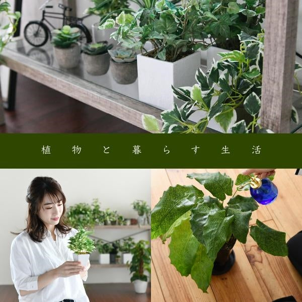 グリーンインテリア スタンドミラー 姿見 ガラス インテリア グリーン 観葉植物 シャビー 多肉植物 棚 ラック おしゃれ シンプル 一人暮らし 木製 古材