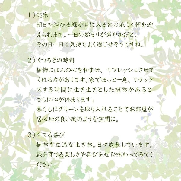 グリーンインテリア スタンドミラー 姿見 ガラス インテリア グリーン 観葉植物 シャビー 多肉植物 棚 ラック おしゃれ シンプル 一人暮らし 木製 古材